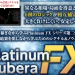 Platinum Kubera FX 石塚勝博 ＢＥＬＬＳＴＯＮＥ株式会社は期待外れ？