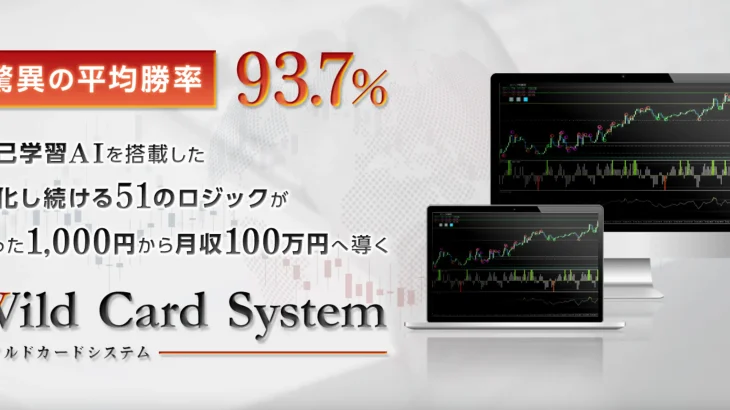 WildCardSystem（ワイルドカードシステム）