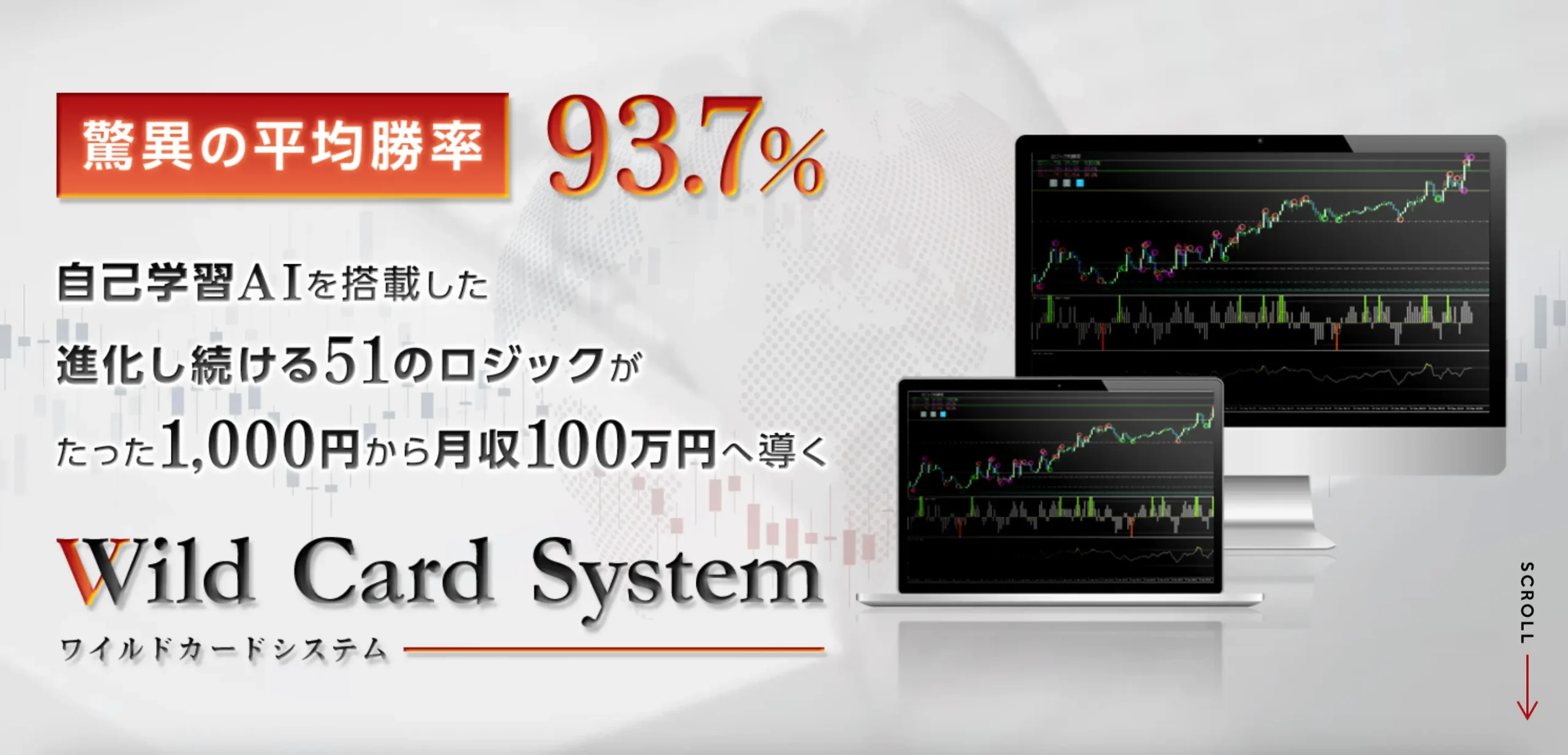 WildCardSystem（ワイルドカードシステム）